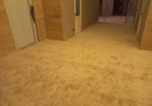 Укладка ковролина в частном доме  350м²